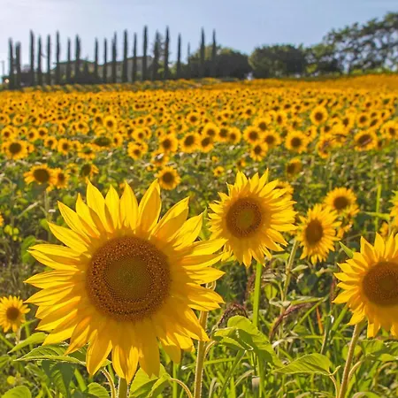 Будинок відпочинку Casa Alfredo