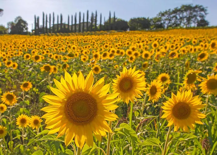 度假居 Casa Alfredo