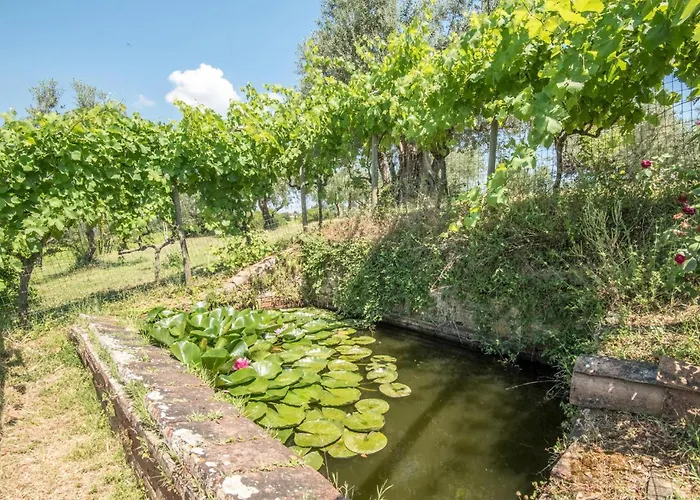 Casa Alfredo Tatil Evi Siena