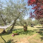 Nyaraló Casa Alfredo *